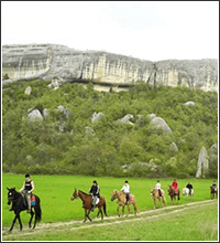 Конные прогулки