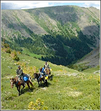 Конные прогулки